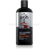 got2b Phenomenal hĺbkovo čistiaci šampón 250 ml