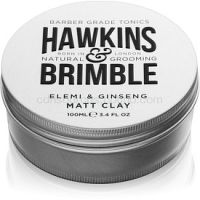 Hawkins & Brimble Natural Grooming Elemi & Ginseng matujúca pomáda na vlasy 100 ml