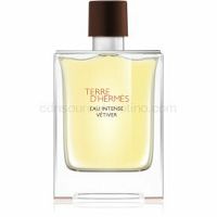 Hermès Terre d'Hermès Eau Intense Vétiver parfumovaná voda pre mužov 100 ml  