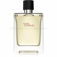 Hermès Terre d’Hermes toaletná voda pre mužov 100 ml