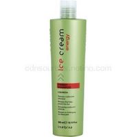 Inebrya Ice Cream Energy šampón proti vypadávániu vlasov 300 ml