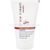 Inebrya Keratin reštrukturalizačný krém na vlasy na rozstrapkané končeky vlasov 100 ml