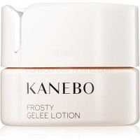 Kanebo Skincare osviežujúci pleťový gél s chladivým účinkom  40 ml
