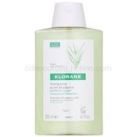 Klorane Papyrus šampón pre suché a nepoddajné vlasy 200 ml
