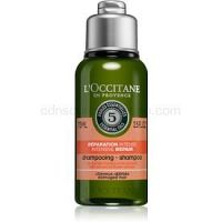 L’Occitane Aromachologie regeneračný šampón pre suché a poškodené vlasy 75 ml
