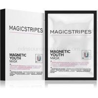 MAGICSTRIPES Magnetic Youth  3 ks