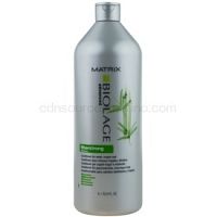 Matrix Biolage Advanced Fiberstrong kondicionér pre slabé, namáhané vlasy  1000 ml