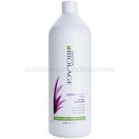 Matrix Biolage Hydra Source šampón pre suché vlasy 1000 ml