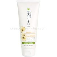 Matrix Biolage SmoothProof uhladzujúci kondicionér pre nepoddajné a krepovité vlasy 200 ml