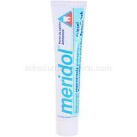 Meridol Dental Care zubná pasta podporujúci regeneráciu  podráždených ďasien  75 ml