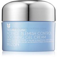 Mizon A.C.Care Solution hydratačný gélový krém pre mastnú pleť so sklonom k akné 50 ml