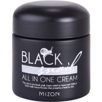 Mizon Black Snail All in One pleťový krém s filtrátom sekrétu zo slimáka 90% 75 ml