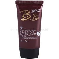 Mizon Multi Function Formula  BB krém so slimačím extraktom SPF 32 odtieň Rose Beige 50 ml