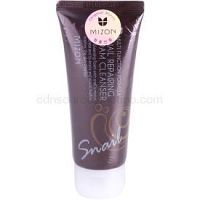 Mizon Multi Function Formula  čistiaca pena  60 ml