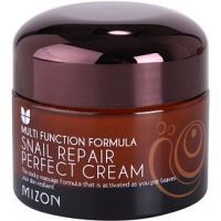 Mizon Multi Function Formula  pleťový krém s filtrátom sekrétu zo slimáka 60% 50 ml