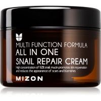 Mizon Multi Function Formula  regeneračný krém s filtrátom sekrétu zo slimáka 92% 120 ml