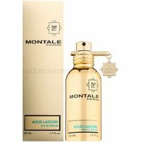 Montale Aoud Lagoon Parfumovaná voda unisex 50 ml
