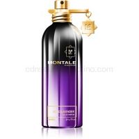 Montale Aoud Lavender Parfumovaná voda unisex 100 ml  