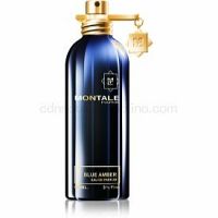 Montale Blue Amber Parfumovaná voda unisex 100 ml