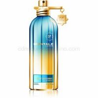 Montale Day Dreams parfumovaná voda unisex 100 ml