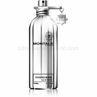 Montale Fougeres Marine Parfumovaná voda unisex 100 ml