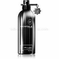 Montale Greyland Parfumovaná voda unisex 100 ml
