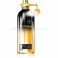Montale Spicy Aoud Parfumovaná voda unisex 100 ml