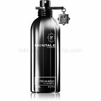 Montale Steam Aoud Parfumovaná voda unisex 100 ml