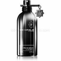 Montale Steam Aoud Parfumovaná voda unisex 50 ml