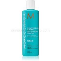 Moroccanoil Moisture Repair šampón pre poškodené, chemicky ošetrené vlasy 250 ml