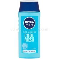 Nivea Men Cool šampón pre normálne až mastné vlasy 250 ml