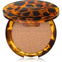 Pierre René Terracotta Powder bronzujúci púder odtieň 01 Chilly Bronze