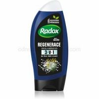 Radox Men Fresh  sprchový gél a šampón 2 v 1 pre mužov 250 ml
