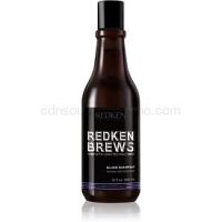 Redken Brews posilňujúci šampón pre biele a šedé vlasy 300 ml