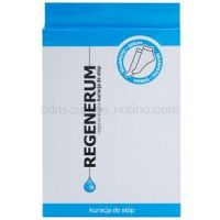 Regenerum Foot Care regeneračná maska na chodidlá vo forme ponožiek