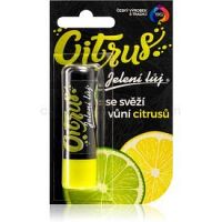 Regina Citrus jelení loj citrus 4,5 g