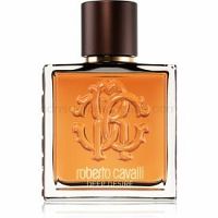 Roberto Cavalli Uomo Deep Desire toaletná voda pre mužov 100 ml