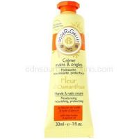 Roger & Gallet Fleur d'Osmanthus krém na ruky a nechty s bambuckým maslom a olejom z marhule 30 ml