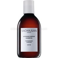 Sachajuan Cleanse and Care Intensive Repair šampón pre poškodené a slnkom namáhané vlasy 250 ml