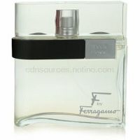 Salvatore Ferragamo F by Ferragamo toaletná voda pre mužov 100 ml