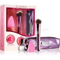 Sigma Beauty 3DHD® Perfect Complexion Set sada štetcov s puzdrom