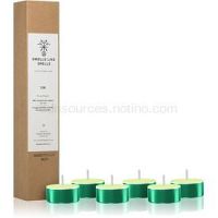 Smells Like Spells Norse Magic Eir čajová sviečka (Healing/Health) 6 ks