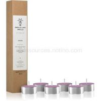 Smells Like Spells Norse Magic Mimir čajová sviečka (Relaxation/Meditation) 6 ks