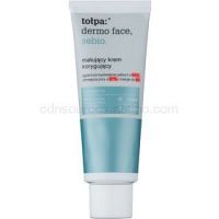Tołpa Dermo Face Sebio zmatňujúci denný krém pre mastnú pleť 40 ml