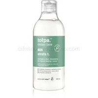 Tołpa Dermo Face T-Zone zmatňujúca micelárna voda 400 ml