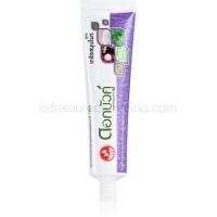 Twin Lotus Salt Herbal bylinková zubná pasta bez fluóru 150 g