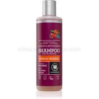 Urtekram Nordic Berries šampón na vlasy pre poškodené vlasy 250 ml