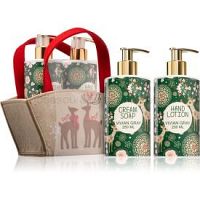 Vivian Gray Natural Christmas darčeková sada IX.