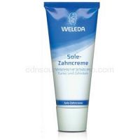 Weleda Dental Care zubná pasta s morskou soľou 75 ml