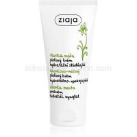 Ziaja Cucumber pleťový krém s hydratačným účinkom 50 ml